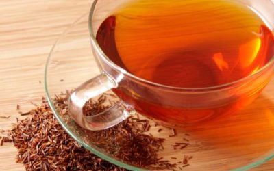 Rooibos – Uniquely South African